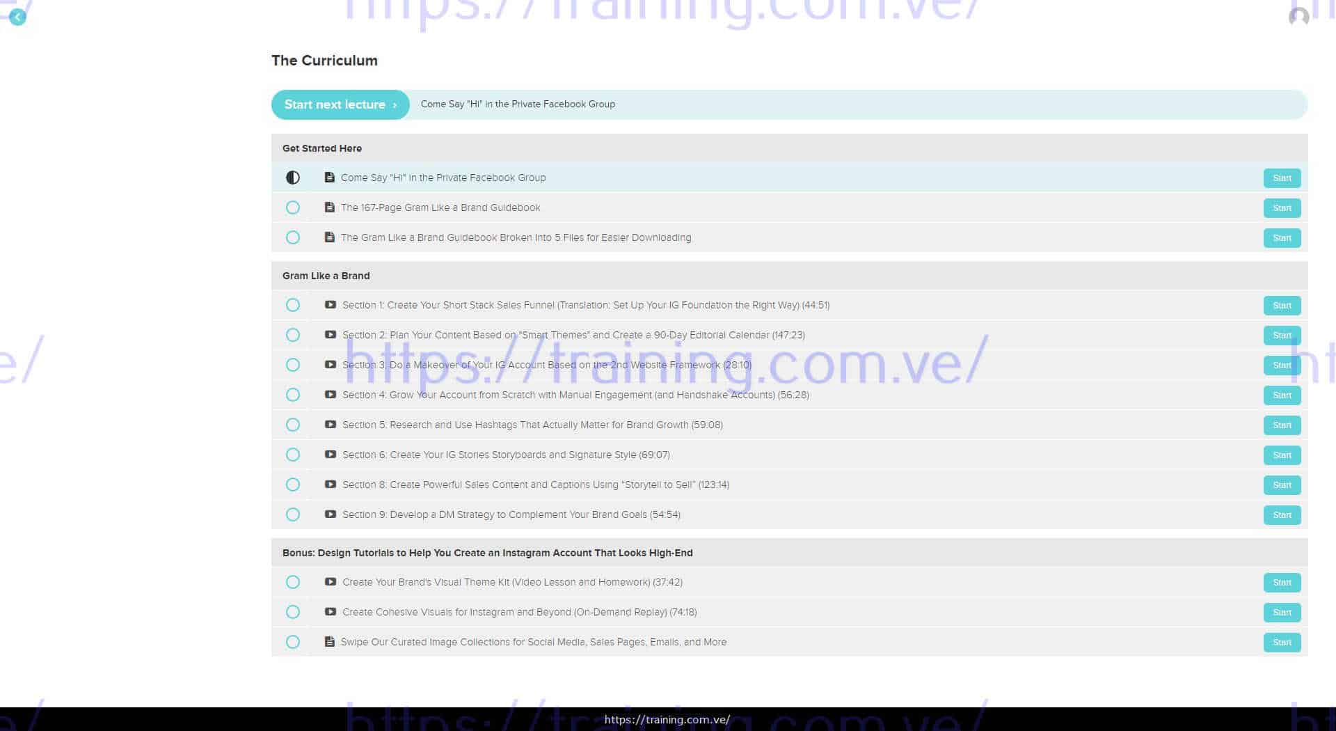 Gram Like a Brand by Regina Anaejionu Download