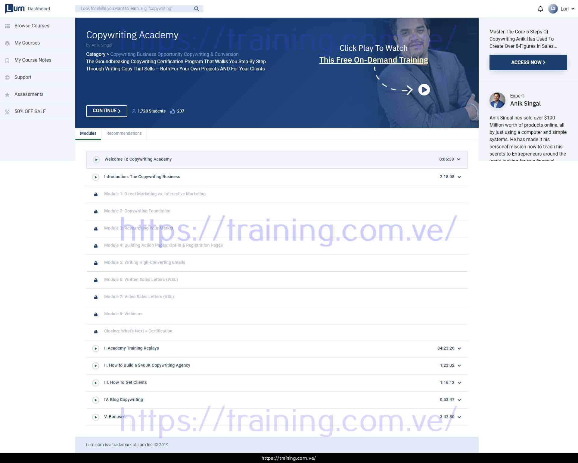 #11680 - 'Lurn - Copywriting Academy' Copywriting Academy by Anik Singal Download