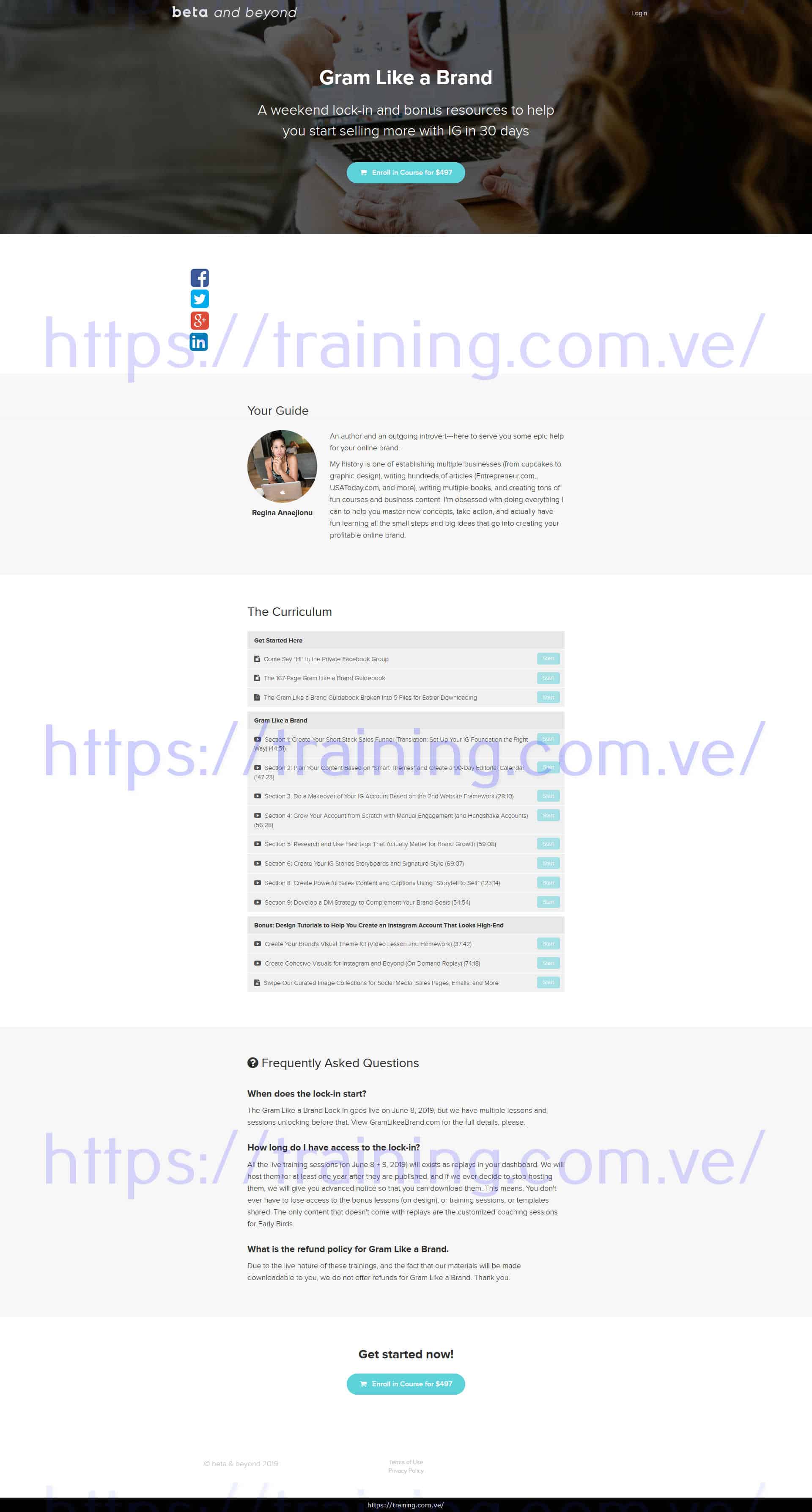 Gram Like a Brand by Regina Anaejionu Buy