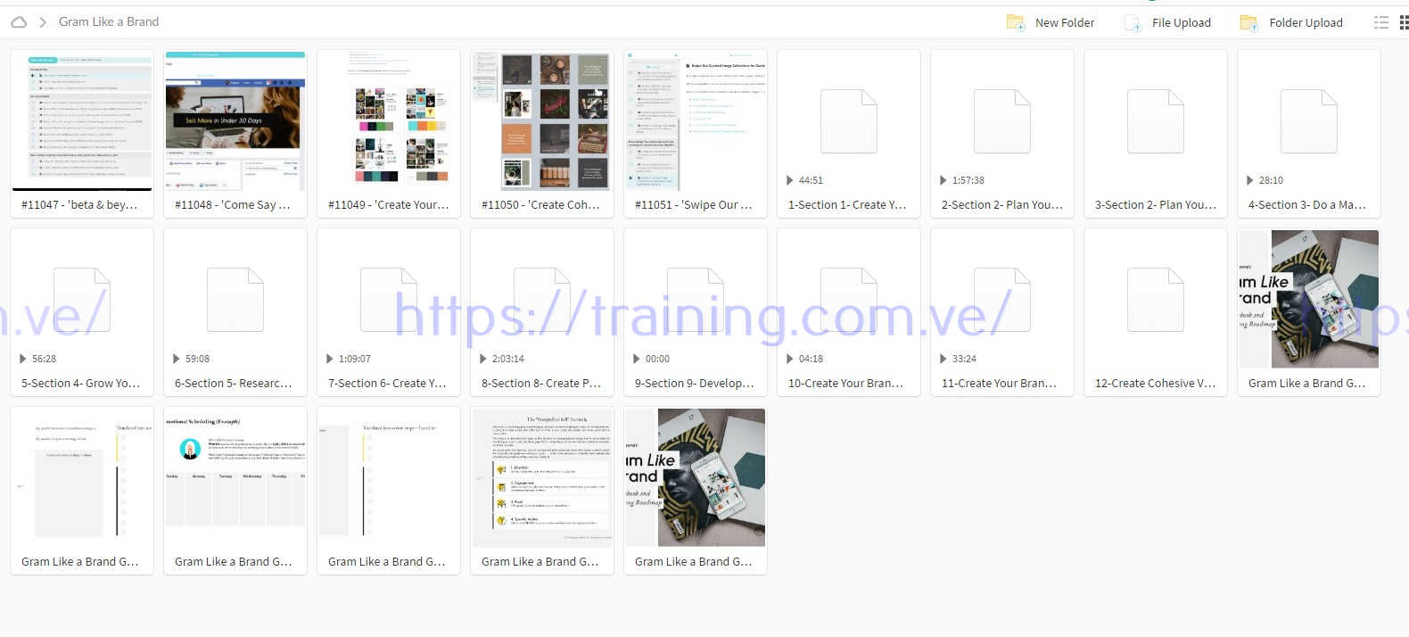 Gram Like a Brand by Regina Anaejionu Torrent