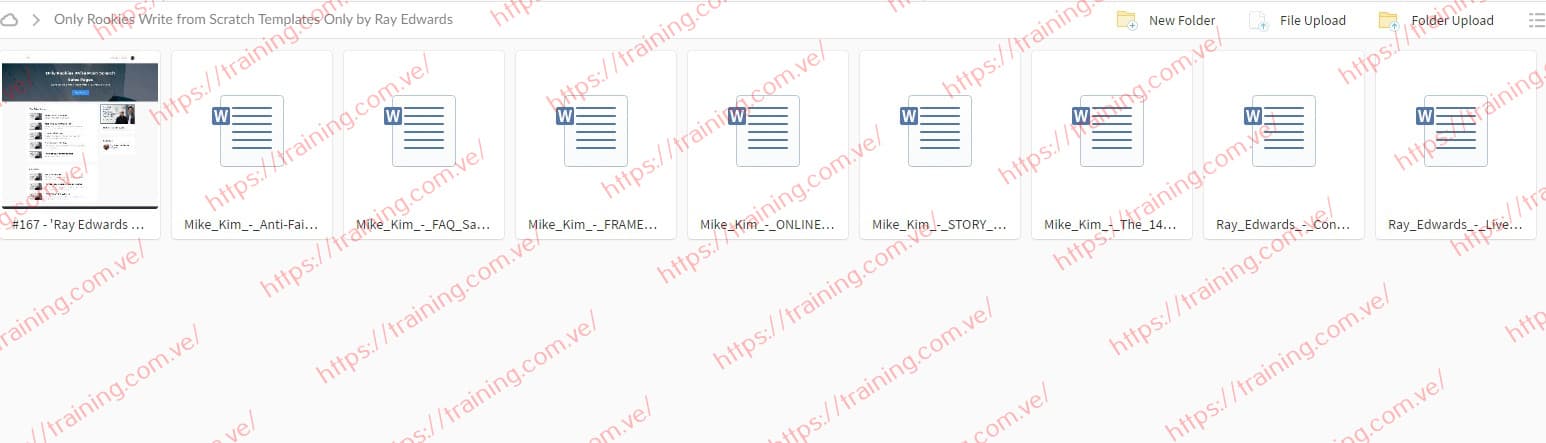 Only Rookies Write from Scratch Templates Only by Ray Edwards Download