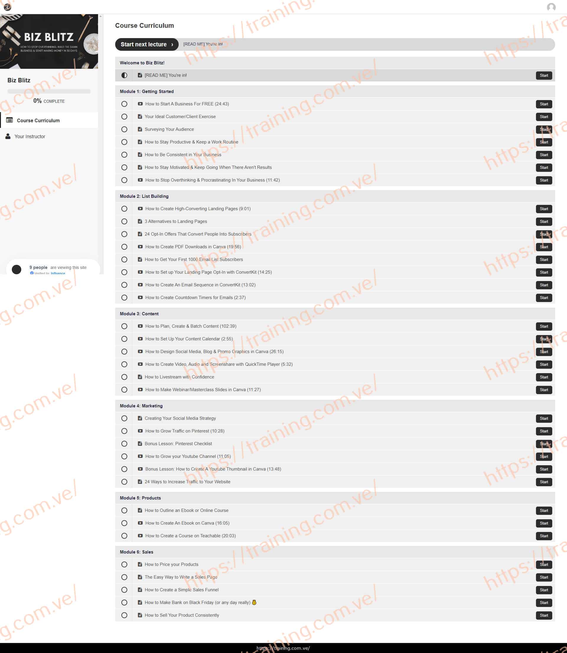 Biz Blitz by Elise McDowell Download