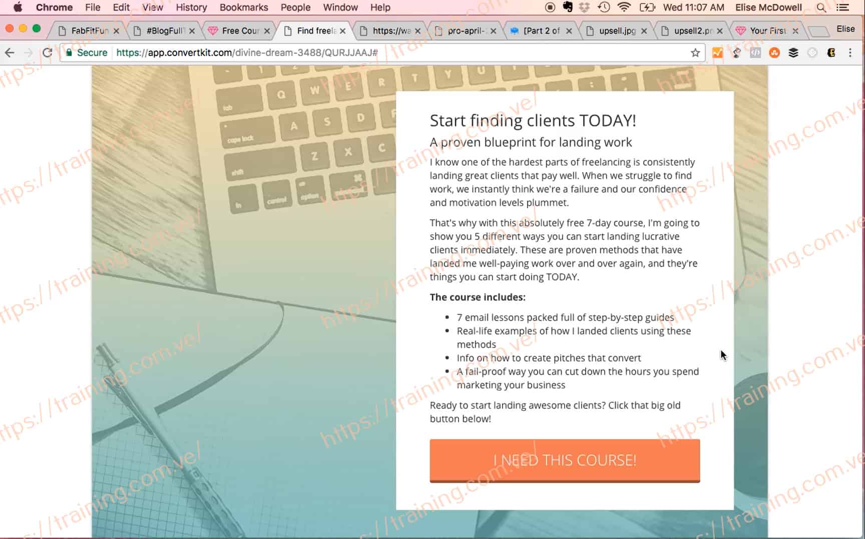 Biz Blitz by Elise McDowell Sale