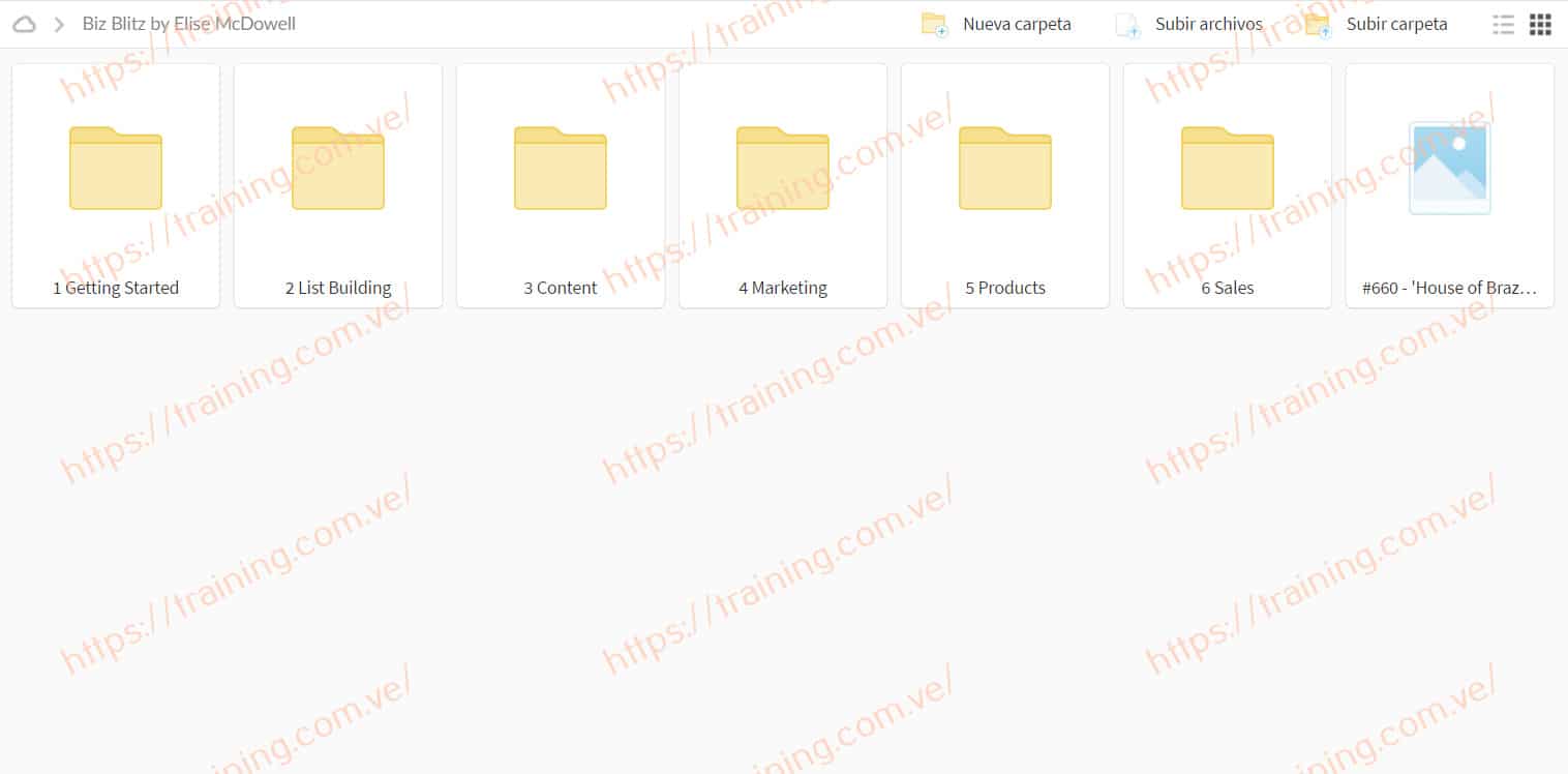 Biz Blitz by Elise McDowell Torrent