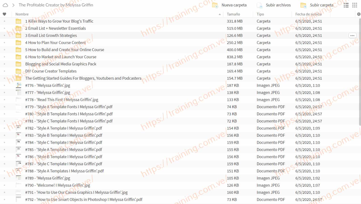 The Profitable Creator by Melyssa Griffin torrent The Profitable Creator by Melyssa Griffin Torrent