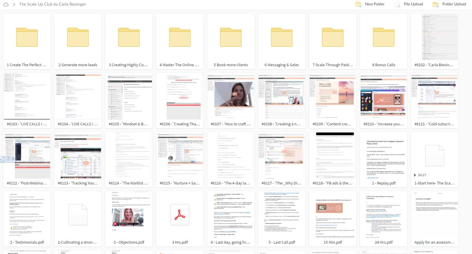 The Scale Up Club by Carla Biesinger torrent