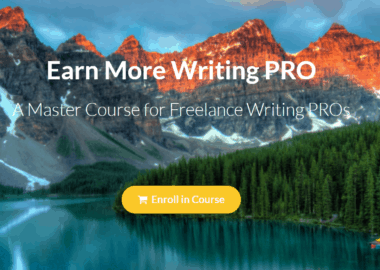 Earn More Writing PRO Platinum Bundle