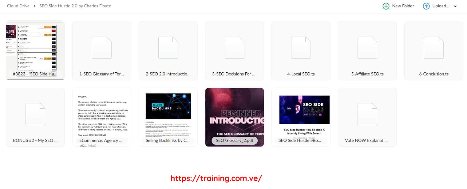 SEO Side Hustle 2.0 by Charles Floate mega.nz