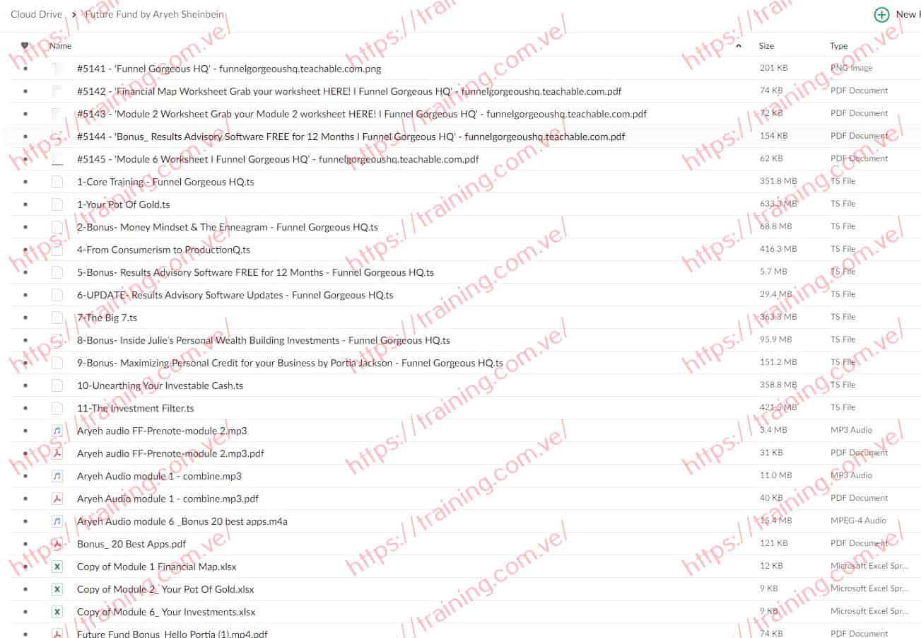 Future Fund by Aryeh Sheinbein Julie Stoian mega.nz