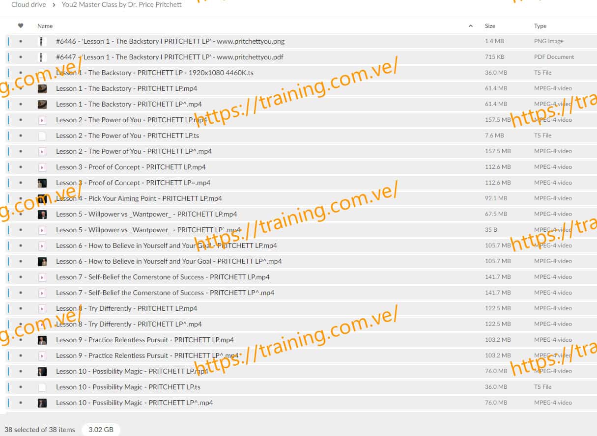 You2 Master Class by Dr. Price Pritchett Mega.nz Torrent